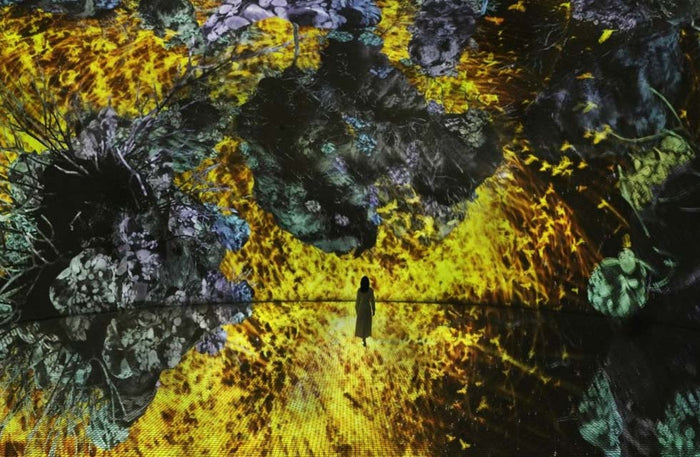 Immersive TeamLab Phenomena Abu Dhabi Experience for One |  at Wondergifts