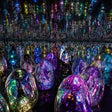 Immersive TeamLab Phenomena Abu Dhabi Experience for One |  at Wondergifts