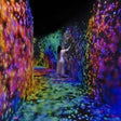 Immersive TeamLab Phenomena Abu Dhabi Experience for One |  at Wondergifts