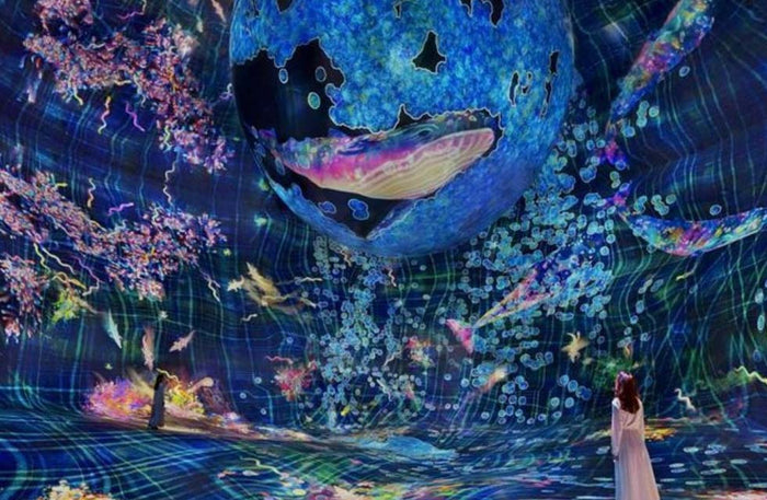 Immersive TeamLab Phenomena Abu Dhabi Experience for One |  at Wondergifts