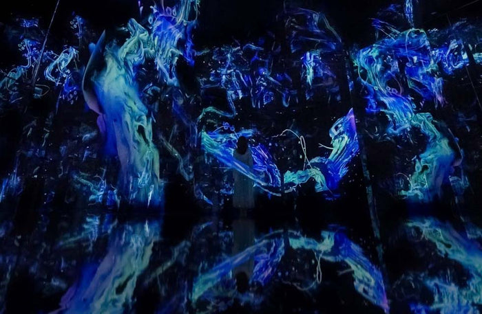 Immersive TeamLab Phenomena Abu Dhabi Experience for One |  at Wondergifts