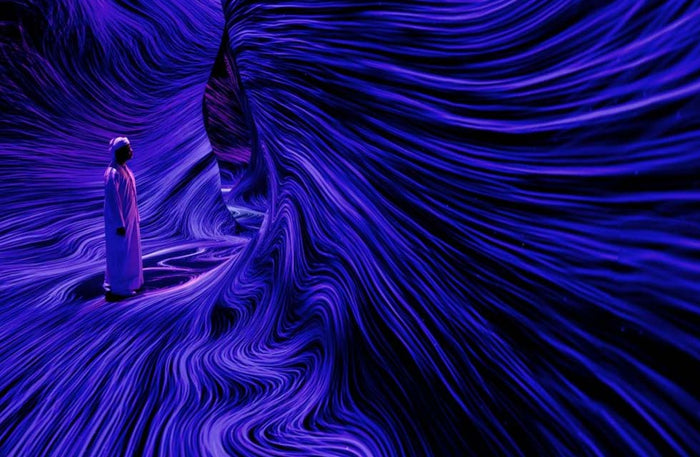 Immersive TeamLab Phenomena Abu Dhabi Experience for One |  at Wondergifts