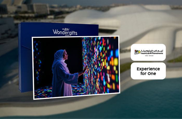 Immersive TeamLab Phenomena Abu Dhabi Experience for One |  at Wondergifts