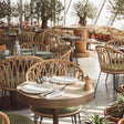 Delectable Italian Lunch with Stunning Palm Views for Two at Lolli Restaurant, The View |  at Wondergifts