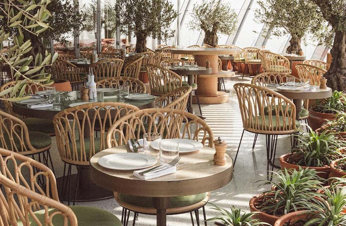 Delectable Italian Lunch with Stunning Palm Views for Two at Lolli Restaurant, The View |  at Wondergifts