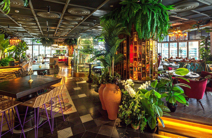 Mama Zonia Jungle-Inspired 3-Course Dining Experience with Drinks for Two