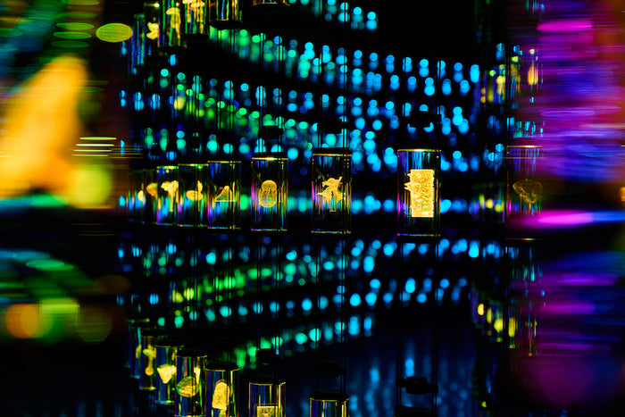 Museum of the Future Entry Ticket for One |  at Wondergifts