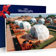 Panoramic Dome Stay with Breakfast and Dinner at Longbeach Campground |  at Wondergifts