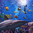 Atlantis Discover Scuba Dive: Plunge into the Ambassador Lagoon |  at Wondergifts