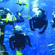 Atlantis Discover Scuba Dive: Plunge into the Ambassador Lagoon |  at Wondergifts