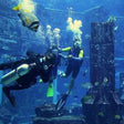 Atlantis Discover Scuba Dive: Plunge into the Ambassador Lagoon |  at Wondergifts