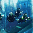 Atlantis Discover Scuba Dive: Plunge into the Ambassador Lagoon |  at Wondergifts
