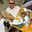 Private Desert Safari & Falconry Experience with Breakfast |  at Wondergifts