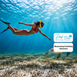 Fujairah - Mesmerising Snorkeling Adventure with Transfers & Sightseeing
