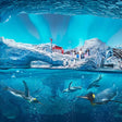 Luxury Getaways Stay & Seaworld Tickets for Two |  at Wondergifts