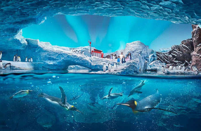 Luxury Getaways Stay & Seaworld Tickets for Two |  at Wondergifts