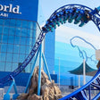 SeaWorld Abu Dhabi General Admission for Two |  at Wondergifts