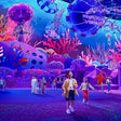 SeaWorld Abu Dhabi General Admission for Two |  at Wondergifts