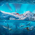 SeaWorld Abu Dhabi General Admission for Two |  at Wondergifts