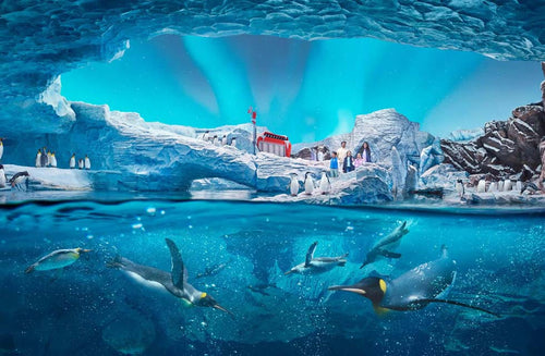 SeaWorld Abu Dhabi General Admission for Two |  at Wondergifts