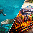 Snorkeling, Turtle Encounter & BBQ in Fujairah |  at Wondergifts