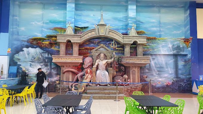 Standard Dolphin and Seal Show for One at Dubai Dolphinarium |  at Wondergifts