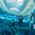 Unforgettable Discover Scuba Diving Experience for One Explorer |  at Wondergifts