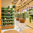THYBLENDS Dubai - Inspiring Creative Wellness Workshop for One