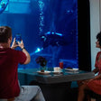 Wander Through the Depths of Dubai's Deep Dive Adventure |  at Wondergifts