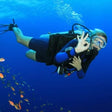 Your Ultimate Beginner's Guide to Scuba Diving Adventures in Al Fujairah |  at Wondergifts