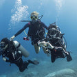 Your Ultimate Beginner's Guide to Scuba Diving Adventures in Al Fujairah |  at Wondergifts