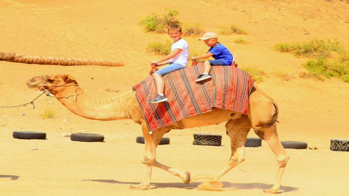 Ras Al Khaimah Afternoon Desert Safari with Dinner for Two |  at Wondergifts