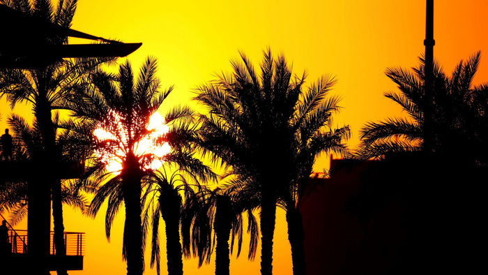 Discover Yas Marina Circuit: Exclusive Venue Tour for Two |  at Wondergifts