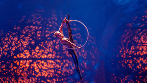 Exclusive Silver B Tickets for Two to the Dazzling La Perle Show |  at Wondergifts