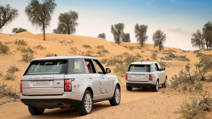 Morning Conservation Desert Drive for Two with Breakfast |  at Wondergifts