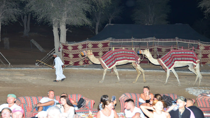 Jeep Wrangler Desert Self Driving Safari, Dinner & Entertainment |  at Wondergifts