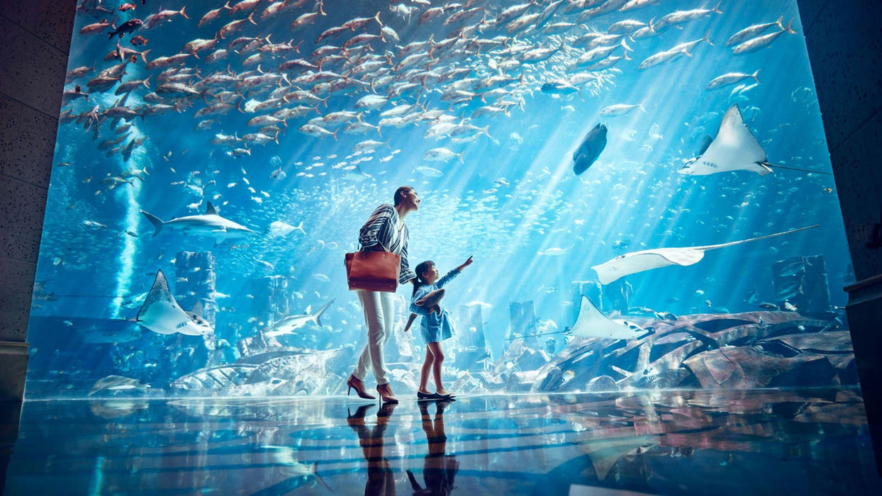 Atlantis Aquaventure Day Pass for One Child