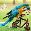 Creek Park Exotic Bird Show General Admission Ticket for 1 Child |  at Wondergifts