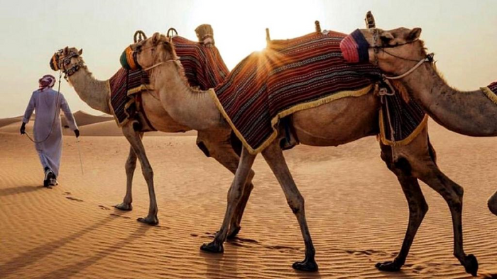 Drive For One Hour A Four Seater Can-Am 1000 Dune Buggy |  at Wondergifts