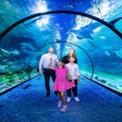 Bu Tinah Glass Bottom Dhow Cruise for Two at The National Aquarium Abu Dhabi |  at Wondergifts