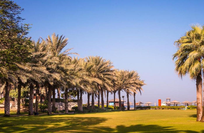 Elegant 1-Night Stay with Dinner and Breakfast at Coral Beach Resort Sharjah |  at Wondergifts