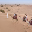 Camel Desert Safari, Sunset Falcon Show and Dinner for Two |  at Wondergifts
