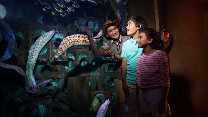 Atlantis Aquaventure Day Pass for One Child |  at Wondergifts