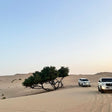 Sunset Desert Safari Experience with BBQ Dinner for One in Abu Dhabi |  at Wondergifts