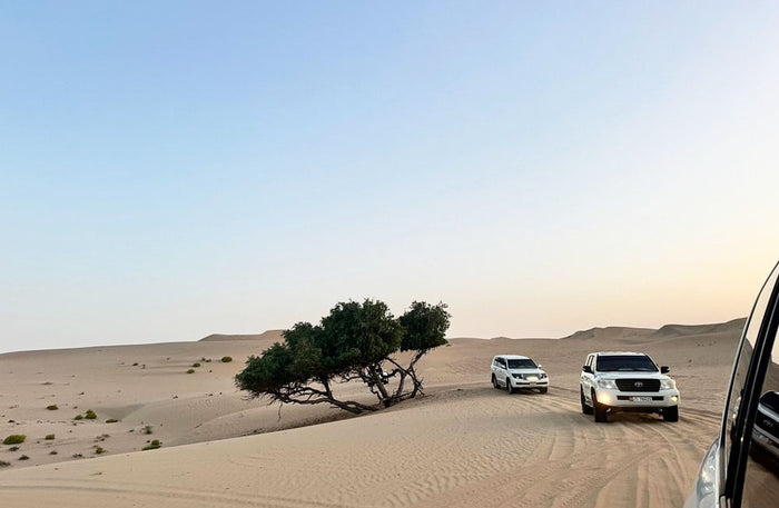 Sunset Desert Safari Experience with BBQ Dinner for One in Abu Dhabi |  at Wondergifts