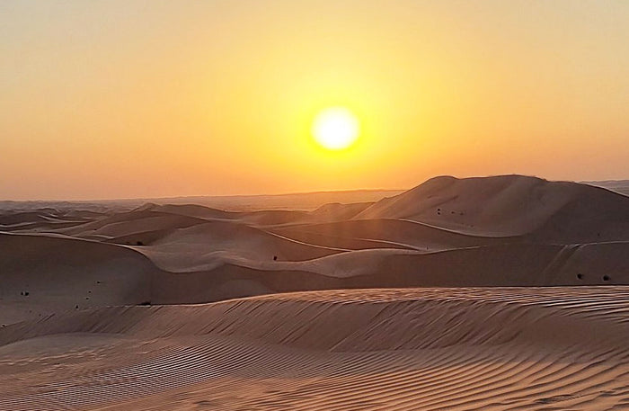 Sunset Desert Safari Experience with BBQ Dinner for One in Abu Dhabi |  at Wondergifts