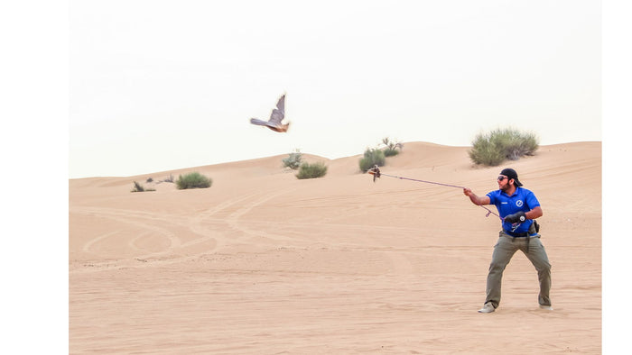 Experience the Breathtaking Beauty of Sunrise Safari for 2 |  at Wondergifts