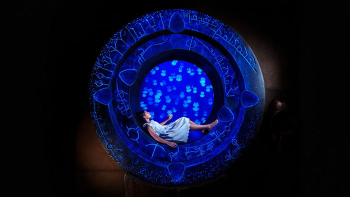 Atlantis Aquaventure Day Pass for One Child |  at Wondergifts