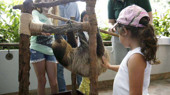 Kids' Day Pass Adventure at The Green Planet |  at Wondergifts