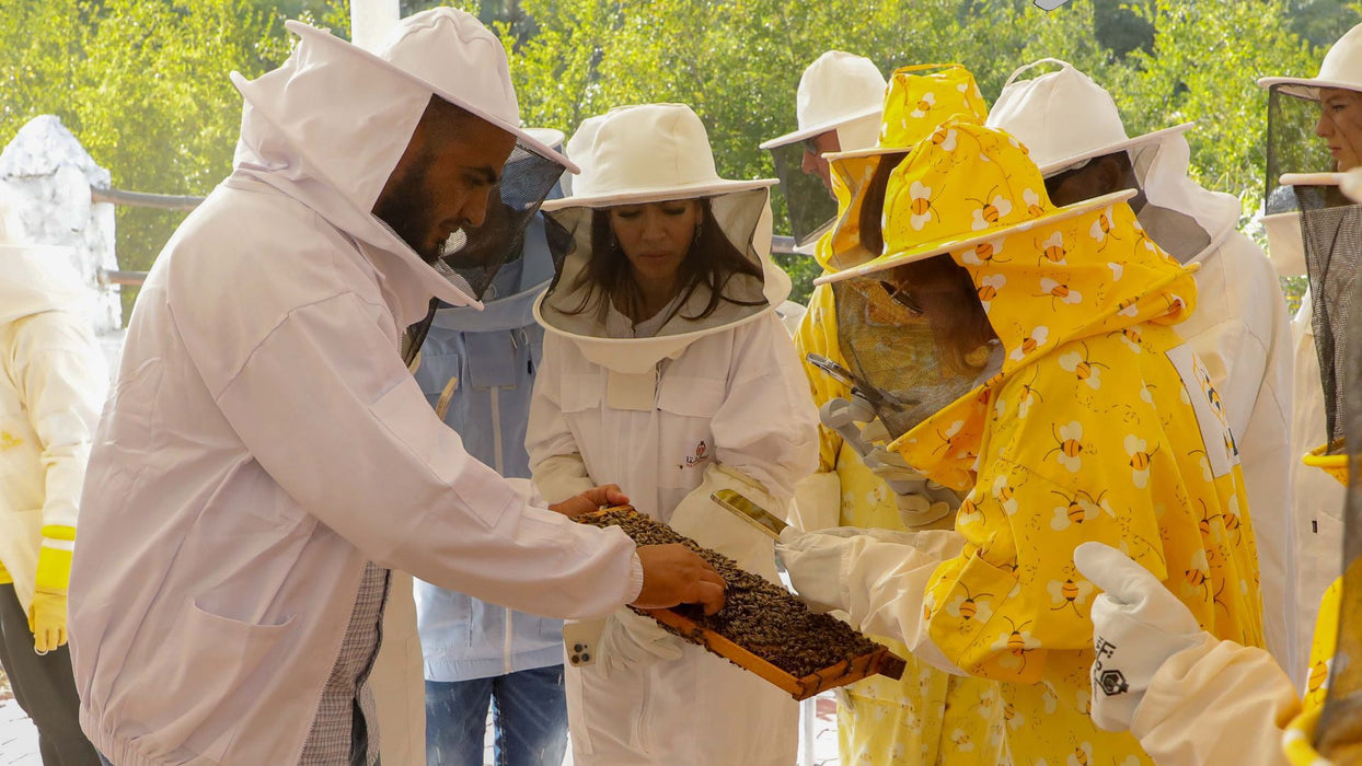 Hatta Honeybee Garden and Taste Local Honey for Two